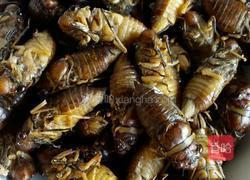 炒知了的做法图解1