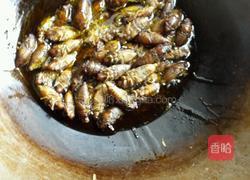 炒知了的做法图解2