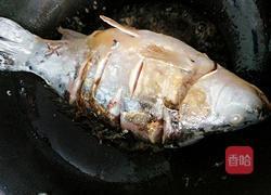 啤酒烧鲤鱼的做法图解5