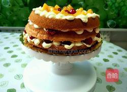 水果裸蛋糕的做法图解17