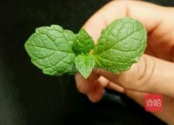 水果酸奶木糠杯的做法图解9