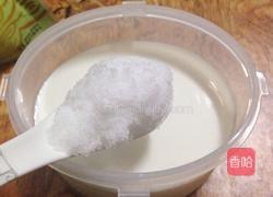 自制原味酸奶的做法图解4
