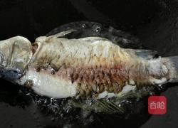 香煎鲫鱼汤的做法图解3