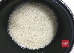 自制甜酒酿的做法图解2