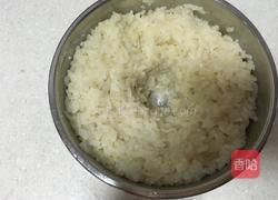 自制甜酒酿的做法图解5