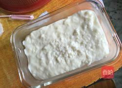 椰蓉冻的做法图解7