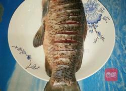 酸辣红烧鲫鱼的做法图解1