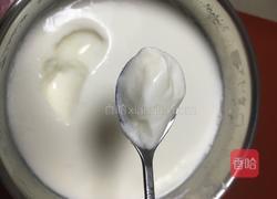 酸奶的做法图解4