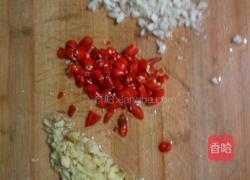 清炒南瓜苗的做法图解1