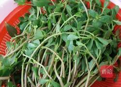 剁椒炒马齿苋的做法图解1