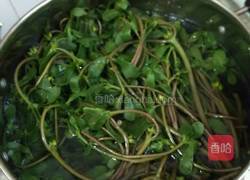 剁椒炒马齿苋的做法图解2