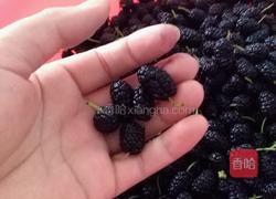 桑椹杂粮馒头的做法图解1