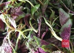 凉拌苋菜的做法图解1