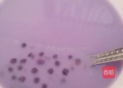 紫薯西米露的做法图解4