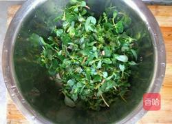 马齿笕鸡蛋煎饼的做法图解2