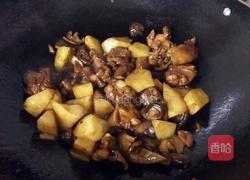 土豆烧鸡块的做法图解7