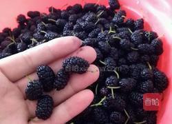 桑椹果酱的做法图解1