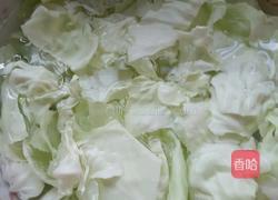 炝炒手撕包菜的做法图解2
