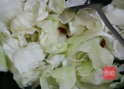 炝炒手撕包菜的做法图解7