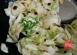 炝炒手撕包菜的做法图解9