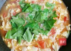 西红柿鸡蛋烩面片的做法图解15
