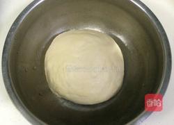 葡萄干小面包卷(中种)的做法图解1