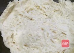 葡萄干小面包卷（中种）的做法图解2