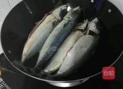 茄汁鱼鲅鱼版的做法图解3