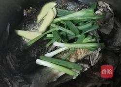 茄汁鱼鲅鱼版的做法图解4
