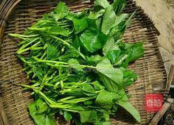 清炒苕尖的做法图解2