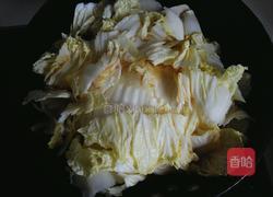 西红柿炖白菜豆腐的做法图解8