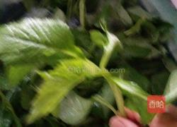 凉拌野莱的做法图解1