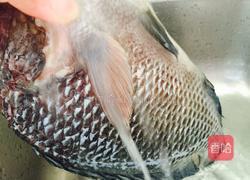 红烧罗非鱼的做法图解1