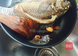 红烧罗非鱼的做法图解4