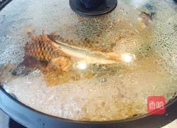 红烧罗非鱼的做法图解6