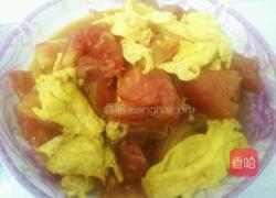 西红柿鸡蛋拌饭的做法图解4