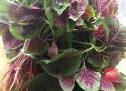 蒜炒苋菜的做法图解1