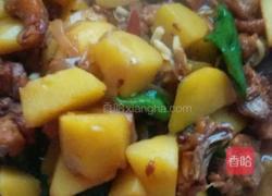 新疆大盘鸡的做法图解8