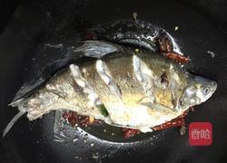 红烧鳊鱼的做法图解6