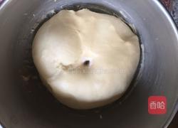 奶香小餐包的做法图解7