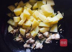 土豆烧鸡的做法图解9