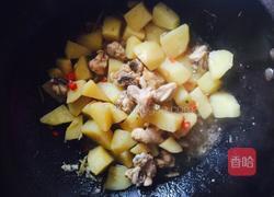 土豆烧鸡的做法图解10