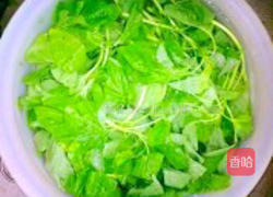 蒜香白苋菜的做法图解1