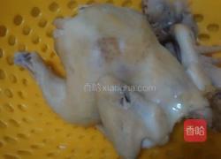 椒麻鸡的做法图解9