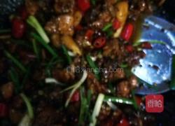 麻辣鸡丁的做法图解9