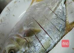清蒸白鲳鱼的做法图解1