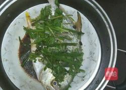 清蒸白鲳鱼的做法图解5