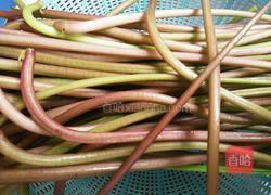 清炒红薯梗的做法图解1