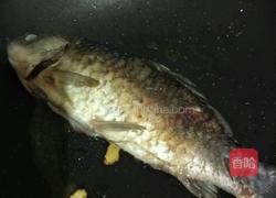 鲫鱼豆腐汤的做法图解4