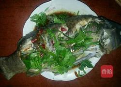 清蒸鲤鱼的做法图解5